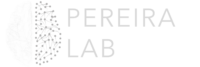 Joana B Pereira's Lab